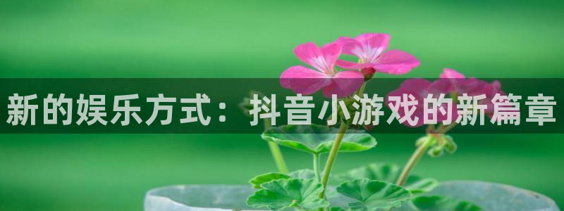 杏运体育：新的娱乐方式：抖音小游戏的新篇章